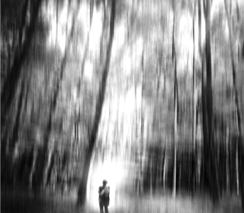 “I Set Before You”