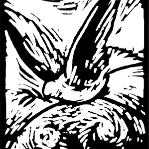 Compassion: Mercy, not Sacrifice