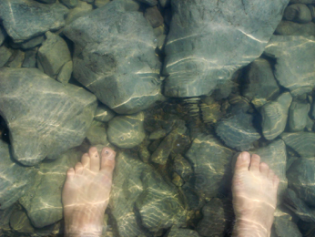 Patients Without Borders