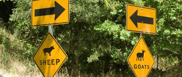 When the House Lights Come Up