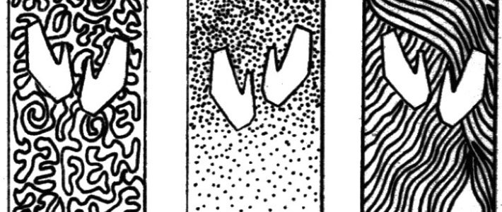 January 5, 2020 Reflection