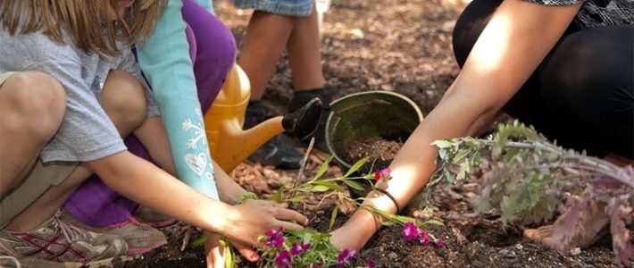 Invitation & Consensus Not Imposition and Coercion