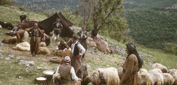 Being a Sheep and Becoming a Shepherd