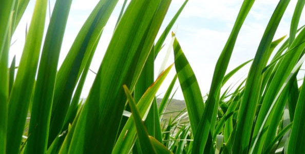 Worship – July 31, 2022