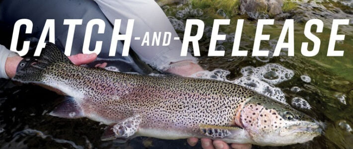 Worship – 1/22/2023