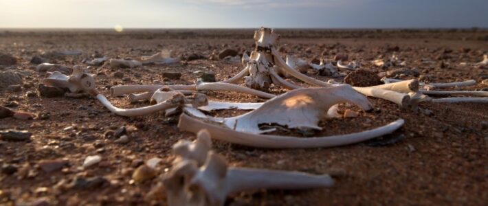 Worship – March 26, 2023