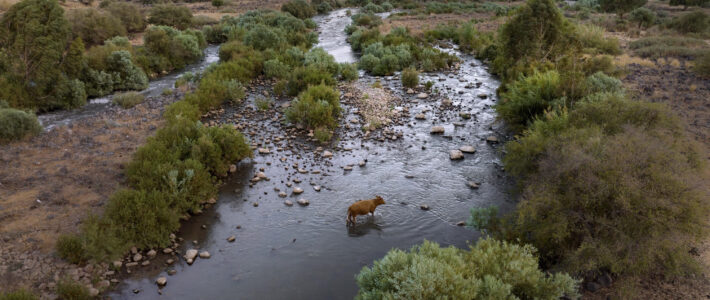 Worship – 12/10/2023