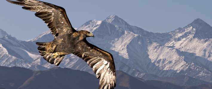 Worship – 2/4/2024