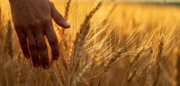 Worship – 6/2/2024